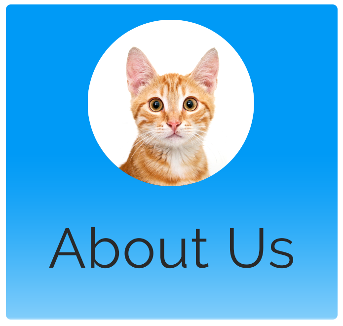 Detroit Lakes Animal Hospital Detroit Lakes MN Veterinarian serving